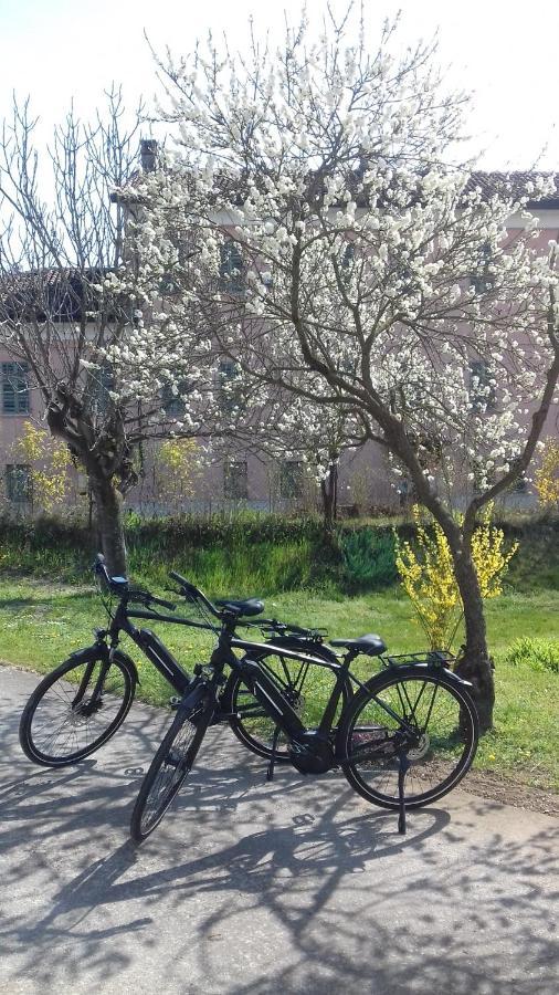 Agriturismo Casa Matilde Lauriano Экстерьер фото